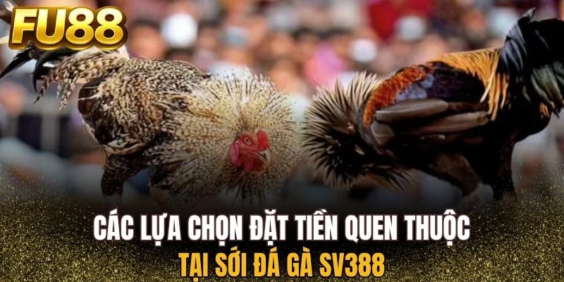Những lựa chọn đặt tiền tại sới đá gà SV388
