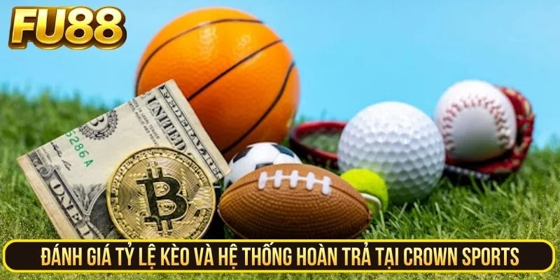 Review tỷ lệ kèo và hệ thống hoàn trả tại Crown Sports