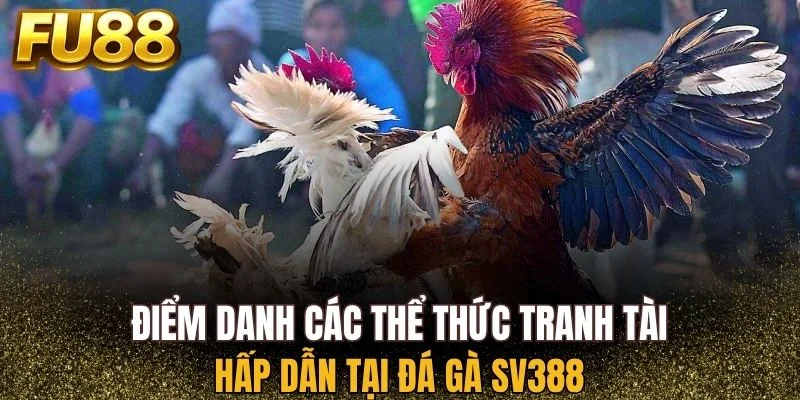 Danh sách các thể thức tranh tài hấp dẫn tại đá gà SV388