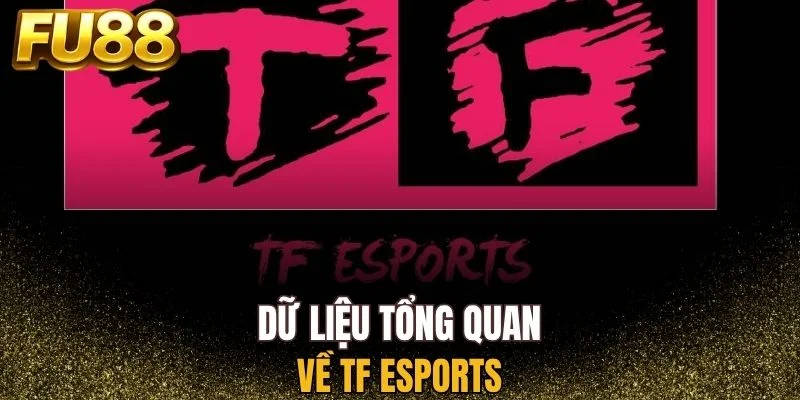 Tổng quan về Sảnh TF Esports