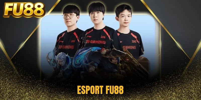 Nhiều giải đấu esports nổi bật tại Fu88