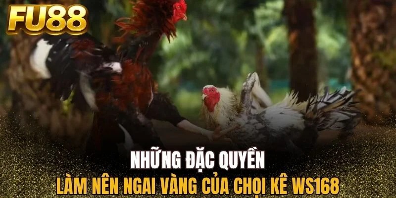 Mọi ưu điểm làm nên ngai vàng của chọi kê WS168