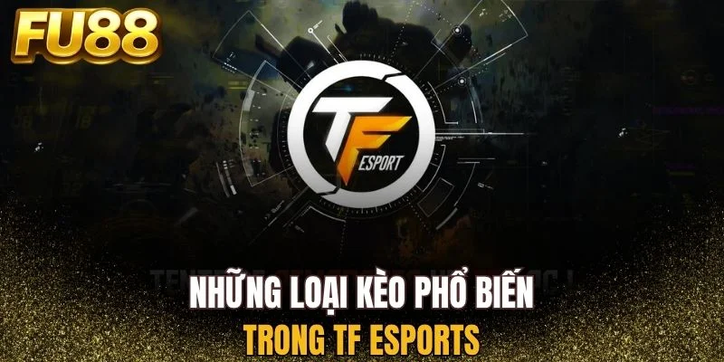 Top các loại kèo phổ biến trong TF Esports