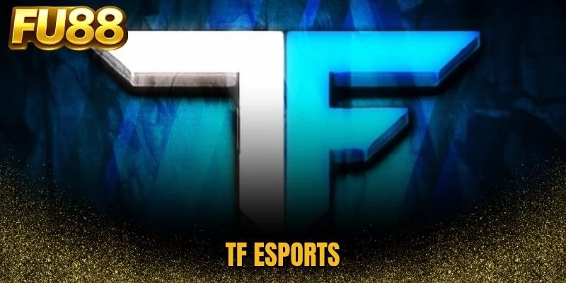 TF Esports mang đến những trận đấu đỉnh cao mỗi ngày