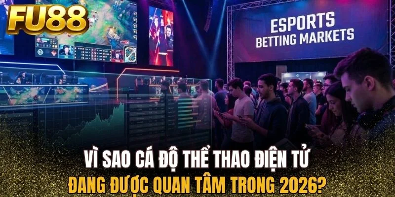 Vì sao cá độ thể thao điện tử được ưu chuộng trong năm Vì sao cá độ thể thao điện tử được ưu chuộng trong năm